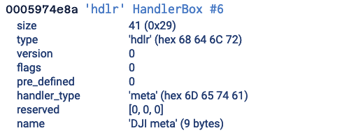 DJI MP4 Track Handler