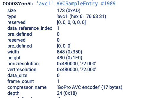 GoPro AVC sample entry