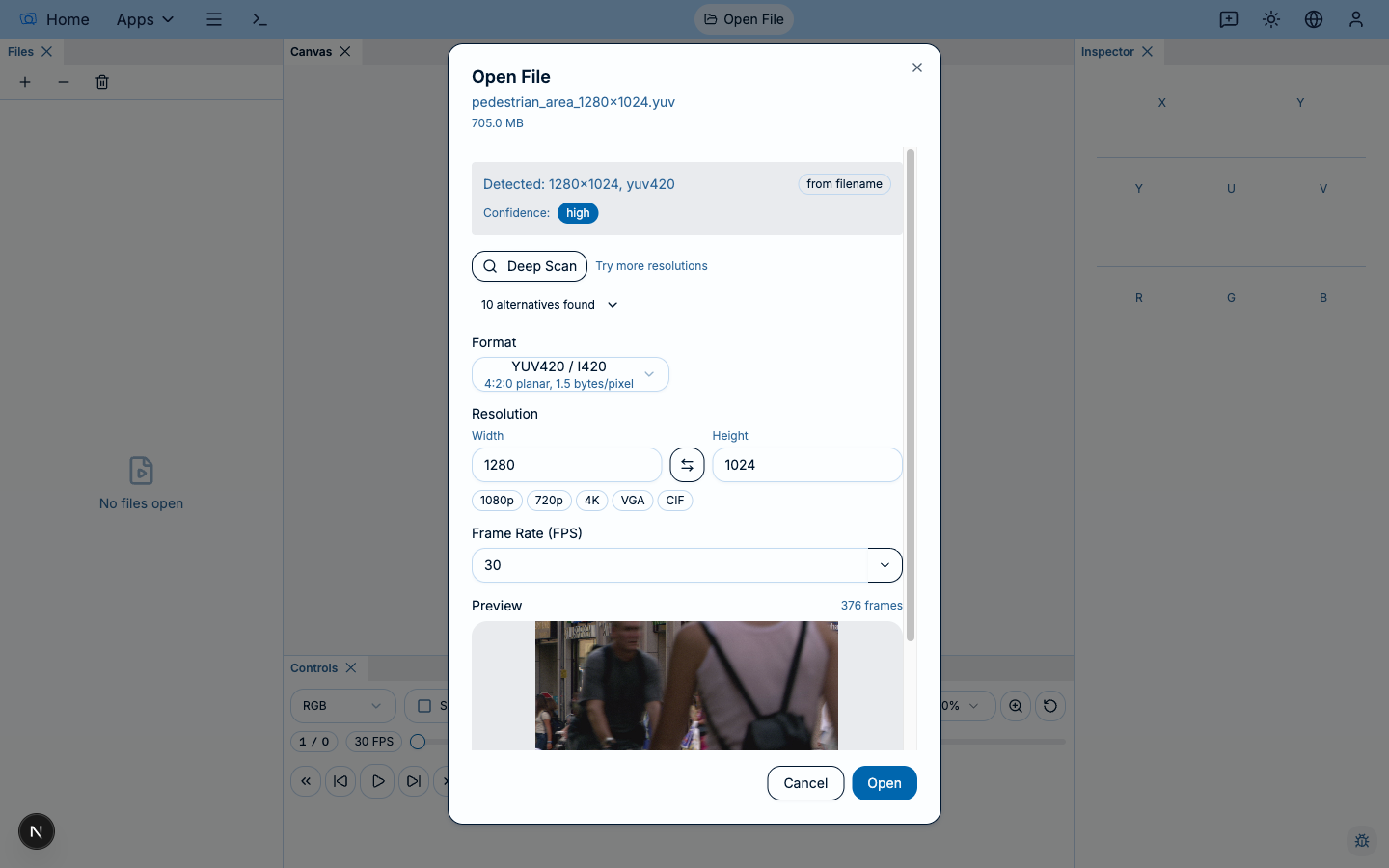 Open File dialog with auto-detection showing confidence, format, resolution, and a preview thumbnail